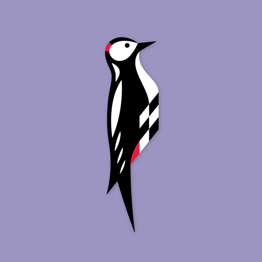 Woodpecker