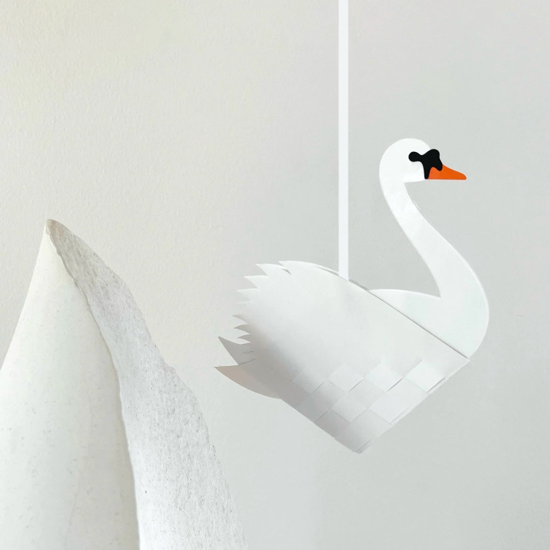 Swan (white)
