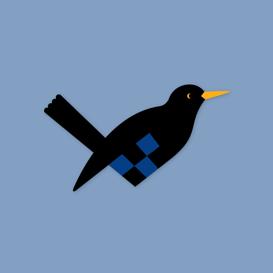 Solsort - Flettede Fugle